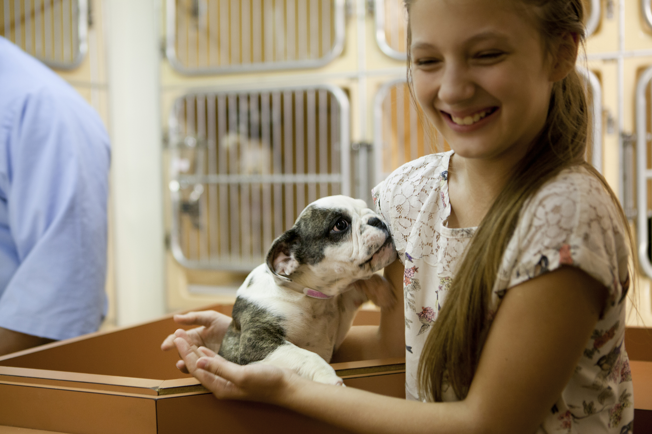 At animal adoption centre